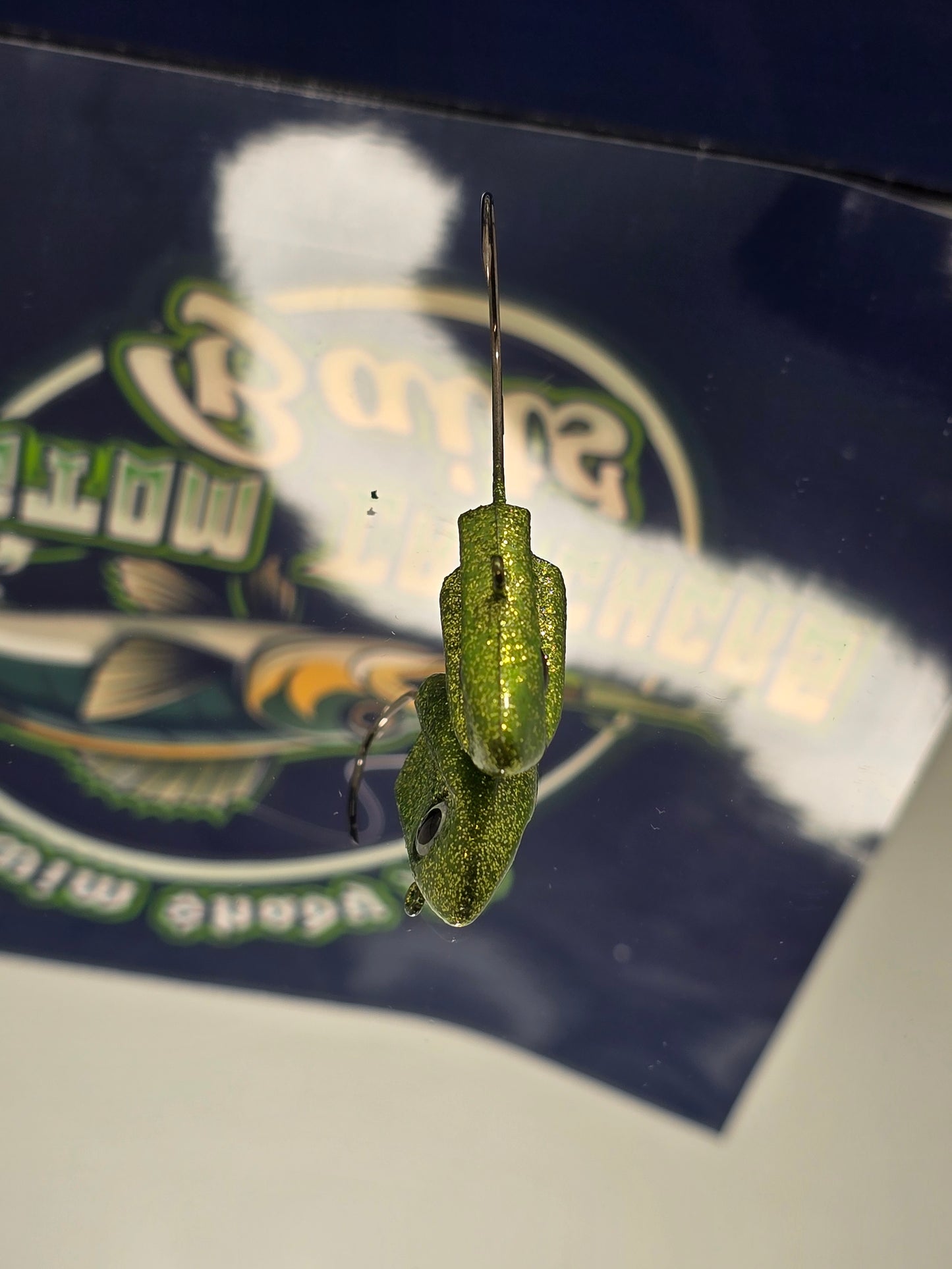Swim Shady Jig 1 oz